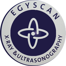 EGYSCAN